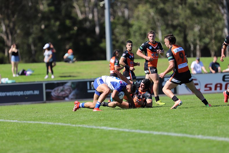 SG Ball Cup Eliminations Final BULLDOGS v TIGERS