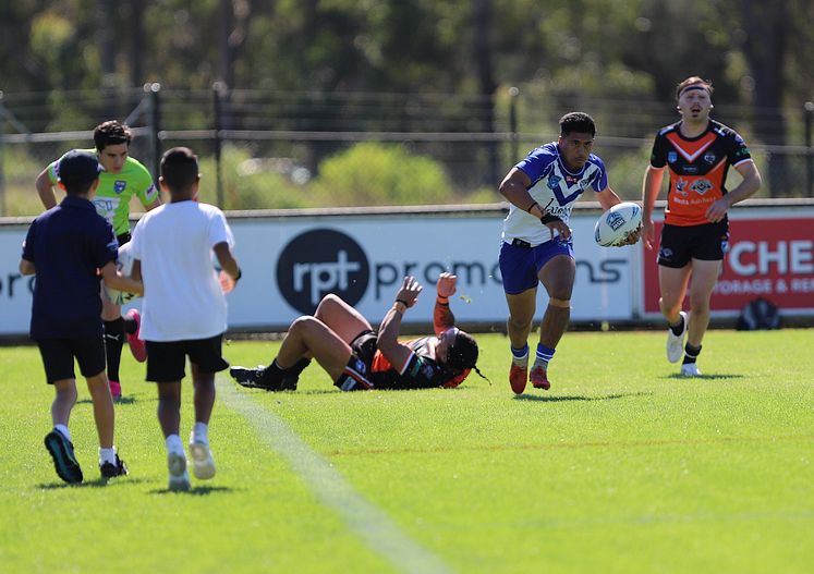 SG Ball Cup Eliminations Final BULLDOGS v TIGERS