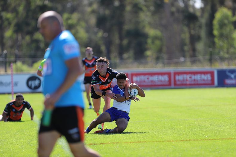 SG Ball Cup Eliminations Final BULLDOGS v TIGERS