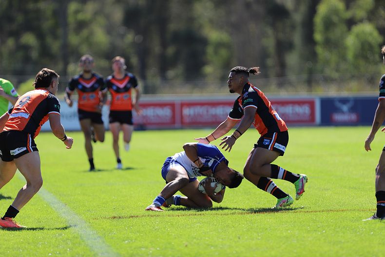 SG Ball Cup Eliminations Final BULLDOGS v TIGERS
