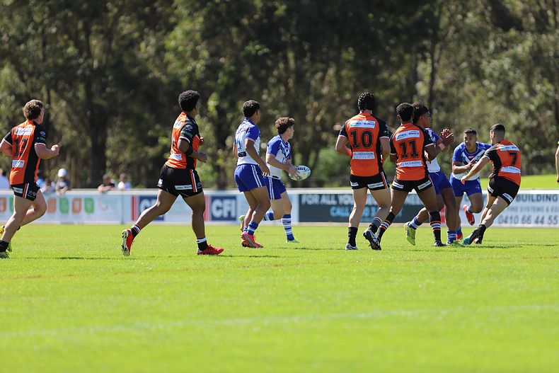 SG Ball Cup Eliminations Final BULLDOGS v TIGERS