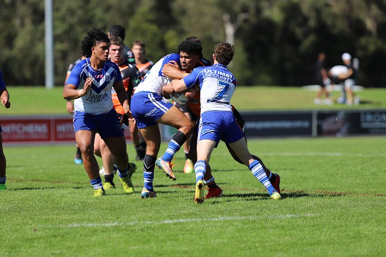 SG Ball Cup Eliminations Final BULLDOGS v TIGERS