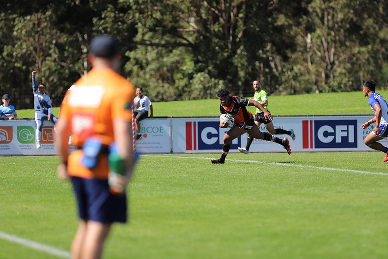 SG Ball Cup Eliminations Final BULLDOGS v TIGERS