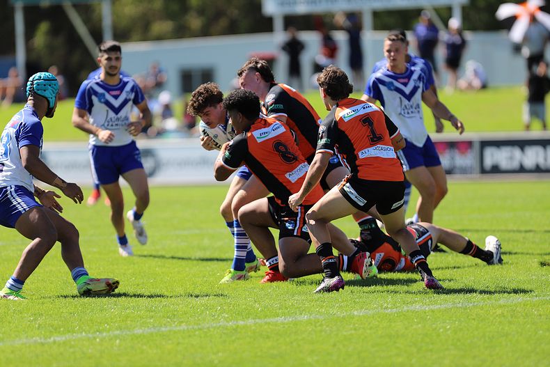 SG Ball Cup Eliminations Final BULLDOGS v TIGERS