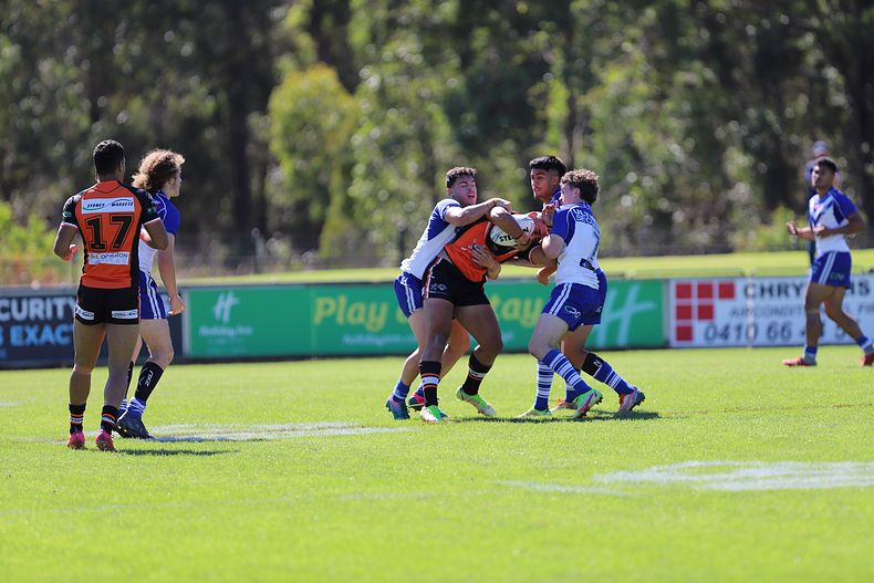 SG Ball Cup Eliminations Final BULLDOGS v TIGERS