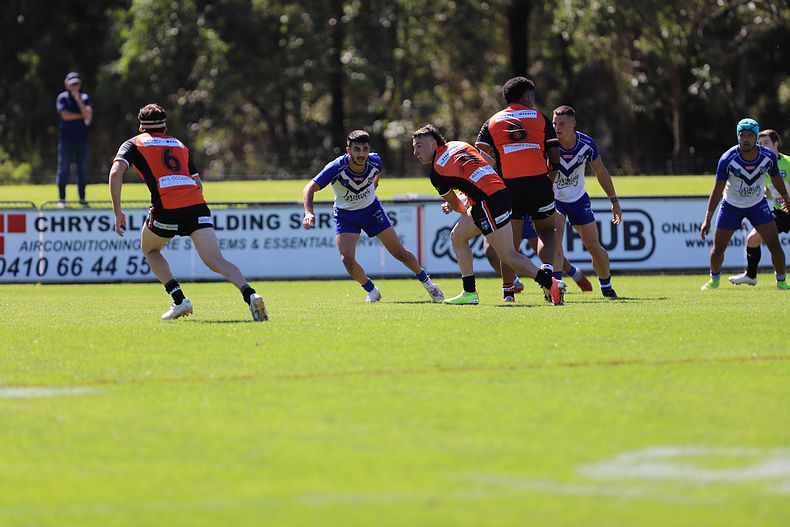SG Ball Cup Eliminations Final BULLDOGS v TIGERS