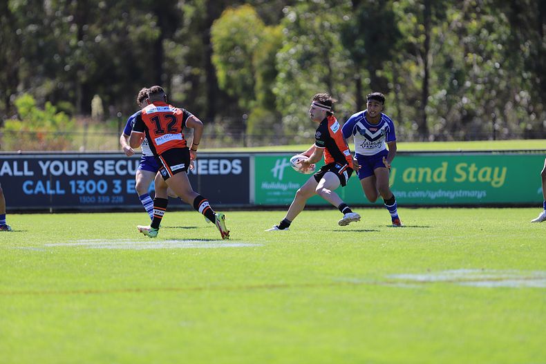 SG Ball Cup Eliminations Final BULLDOGS v TIGERS