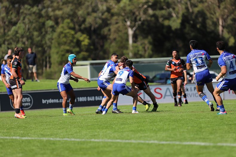SG Ball Cup Eliminations Final BULLDOGS v TIGERS
