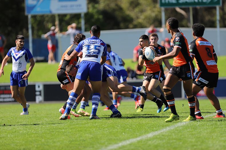 SG Ball Cup Eliminations Final BULLDOGS v TIGERS