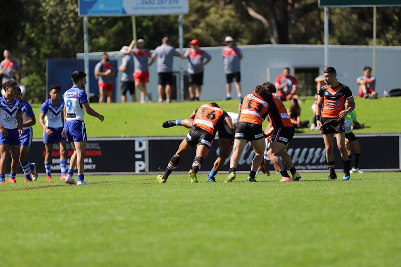 SG Ball Cup Eliminations Final BULLDOGS v TIGERS