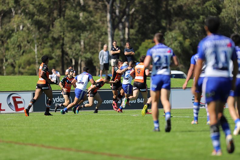 SG Ball Cup Eliminations Final BULLDOGS v TIGERS