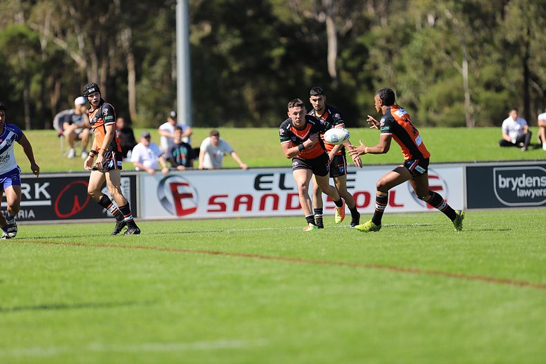 SG Ball Cup Eliminations Final BULLDOGS v TIGERS