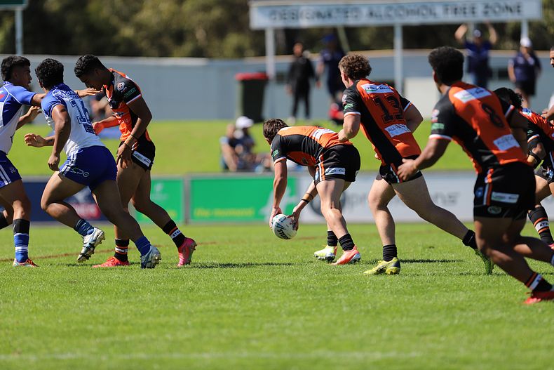 SG Ball Cup Eliminations Final BULLDOGS v TIGERS