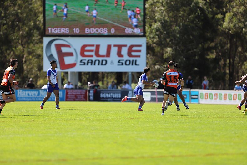 SG Ball Cup Eliminations Final BULLDOGS v TIGERS