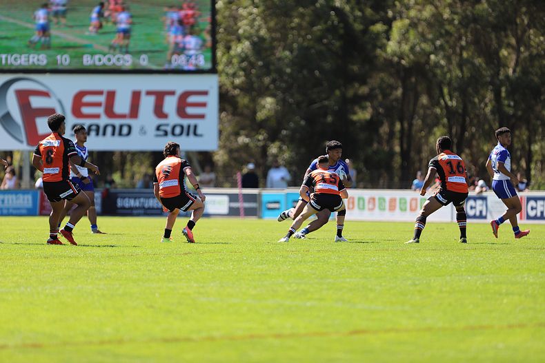 SG Ball Cup Eliminations Final BULLDOGS v TIGERS
