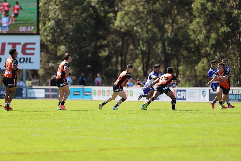 SG Ball Cup Eliminations Final BULLDOGS v TIGERS