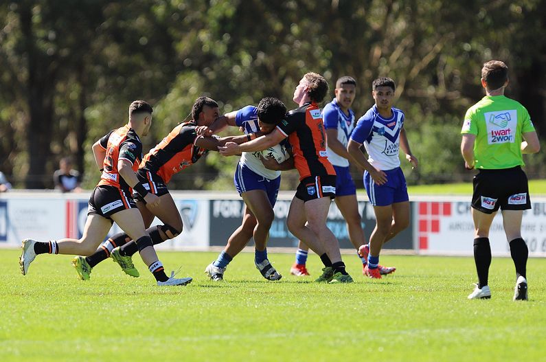 SG Ball Cup Eliminations Final BULLDOGS v TIGERS