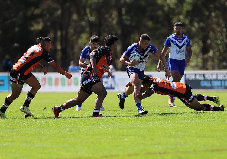 SG Ball Cup Eliminations Final BULLDOGS v TIGERS