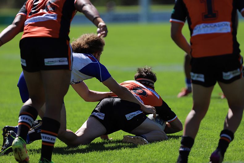 SG Ball Cup Eliminations Final BULLDOGS v TIGERS