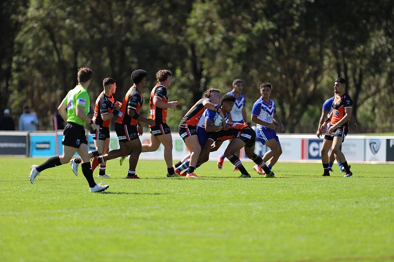 SG Ball Cup Eliminations Final BULLDOGS v TIGERS