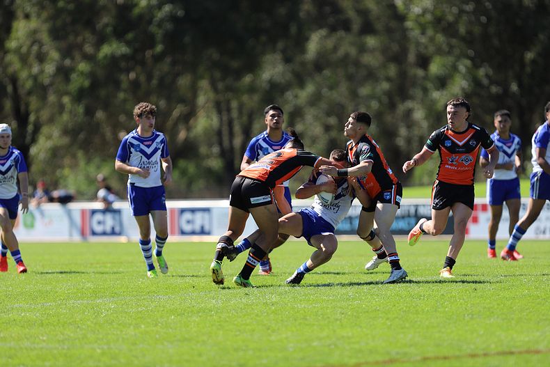 SG Ball Cup Eliminations Final BULLDOGS v TIGERS