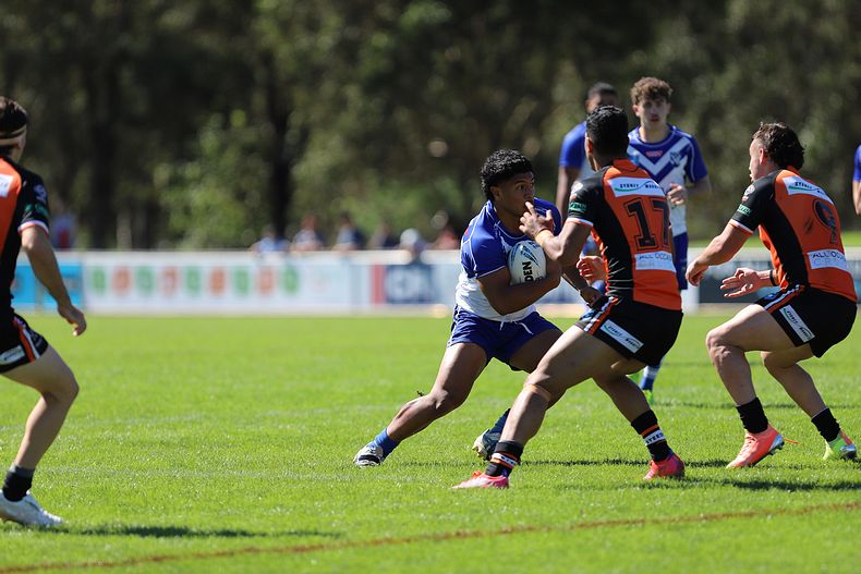 SG Ball Cup Eliminations Final BULLDOGS v TIGERS