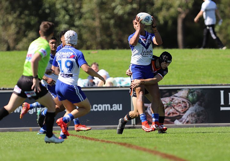 SG Ball Cup Eliminations Final BULLDOGS v TIGERS