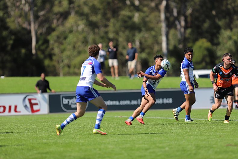 SG Ball Cup Eliminations Final BULLDOGS v TIGERS