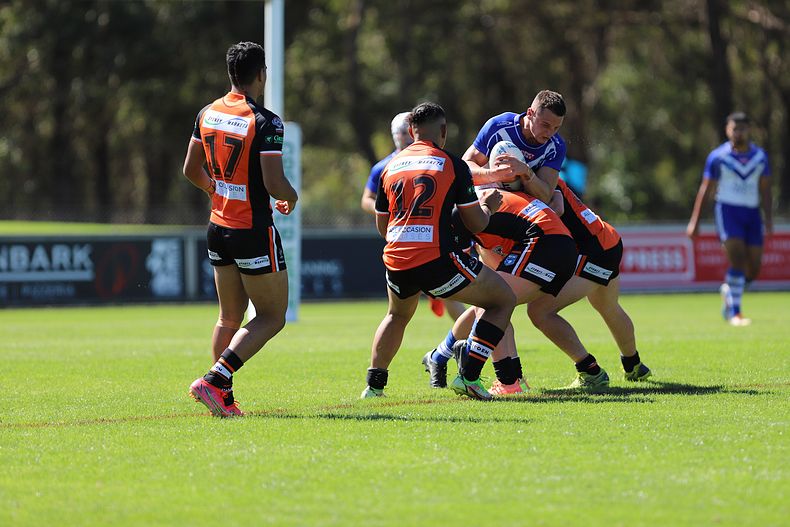 SG Ball Cup Eliminations Final BULLDOGS v TIGERS