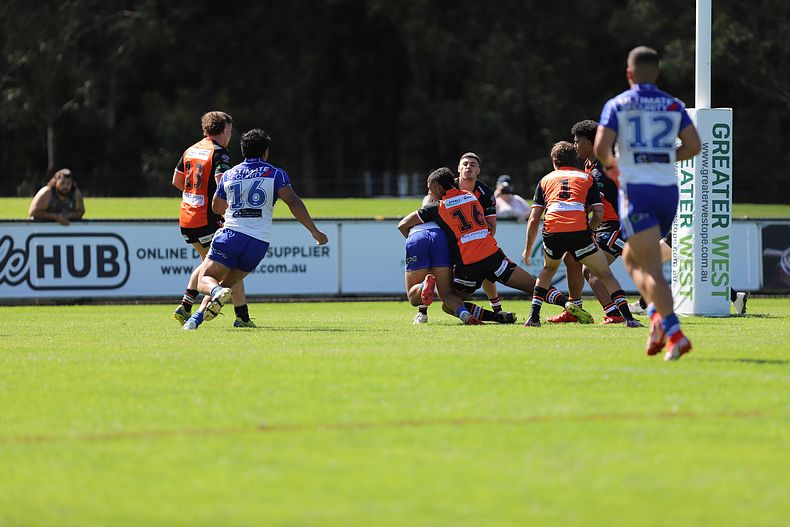 SG Ball Cup Eliminations Final BULLDOGS v TIGERS