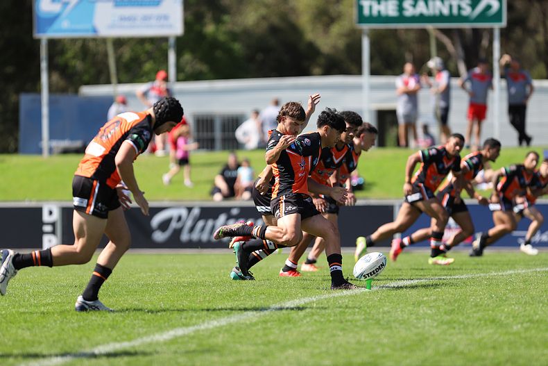 SG Ball Cup Eliminations Final BULLDOGS v TIGERS