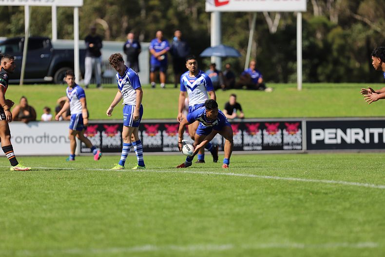 SG Ball Cup Eliminations Final BULLDOGS v TIGERS
