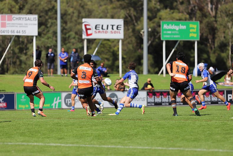 SG Ball Cup Eliminations Final BULLDOGS v TIGERS