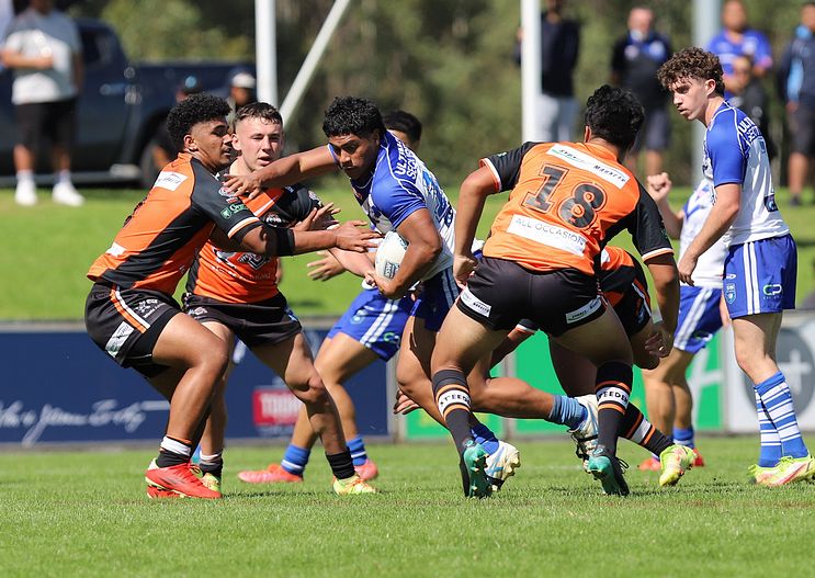 SG Ball Cup Eliminations Final BULLDOGS v TIGERS