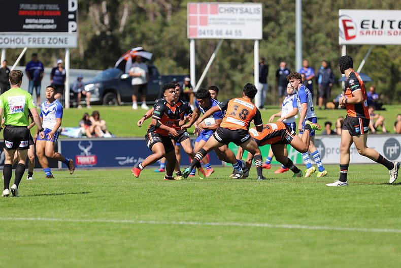 SG Ball Cup Eliminations Final BULLDOGS v TIGERS