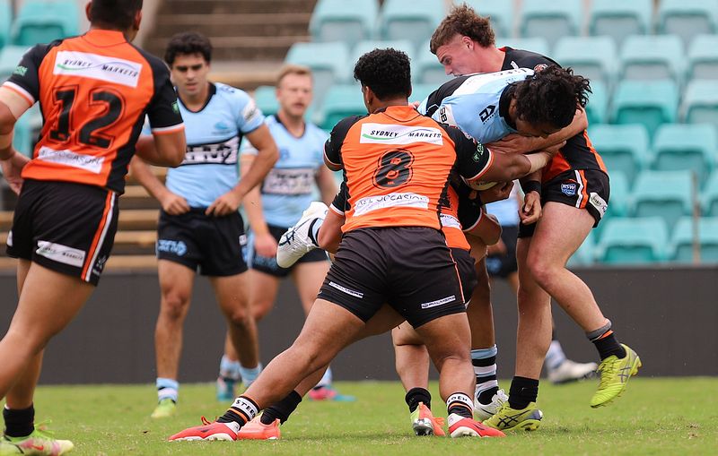 SG Ball Cup Rnd 8 TIGERS v SHARKS
