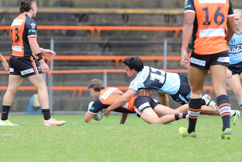 SG Ball Cup Rnd 8 TIGERS v SHARKS