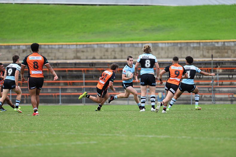 SG Ball Cup Rnd 8 TIGERS v SHARKS