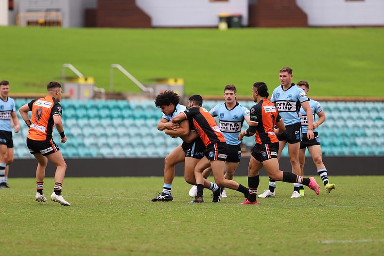 SG Ball Cup Rnd 8 TIGERS v SHARKS