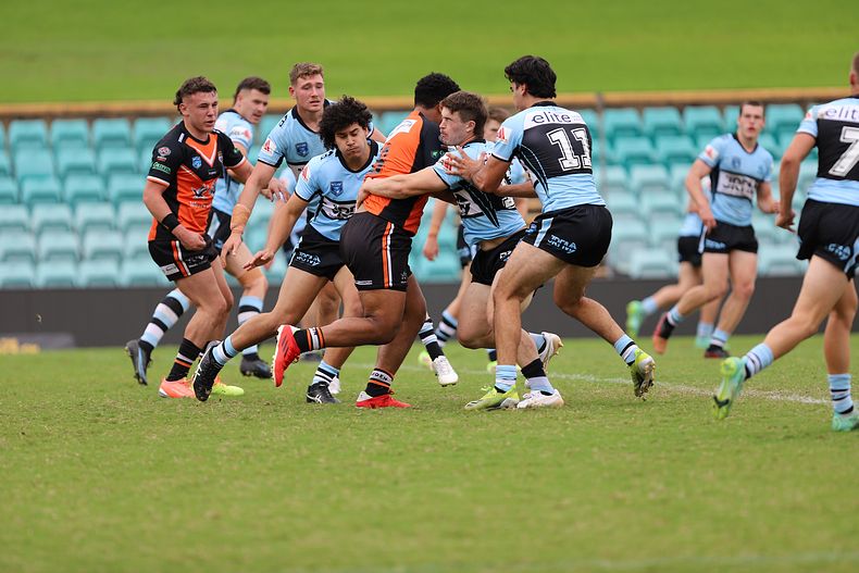 SG Ball Cup Rnd 8 TIGERS v SHARKS
