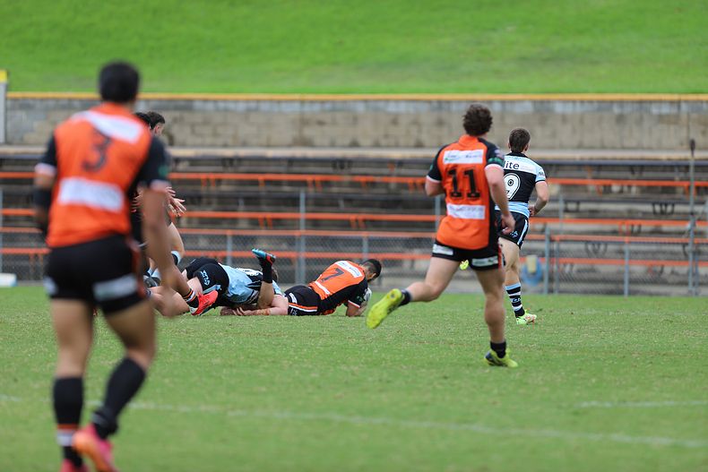 SG Ball Cup Rnd 8 TIGERS v SHARKS