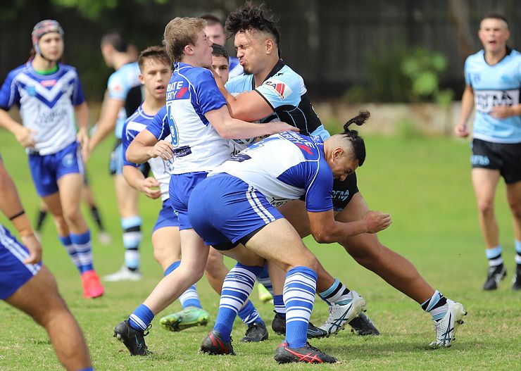 Harold Matthews Cup Rnd 9 BULLDOGS v SHARKS