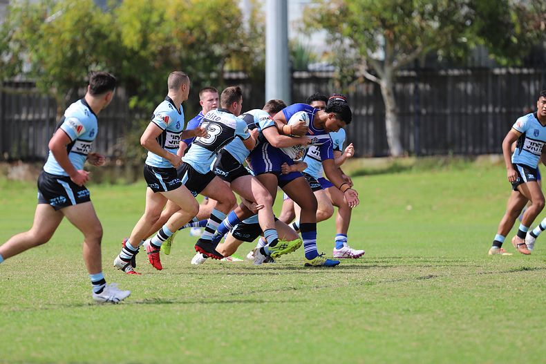 Harold Matthews Cup Rnd 9 BULLDOGS v SHARKS