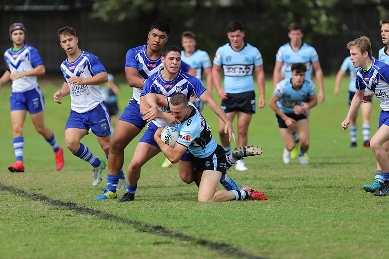 Harold Matthews Cup Rnd 9 BULLDOGS v SHARKS