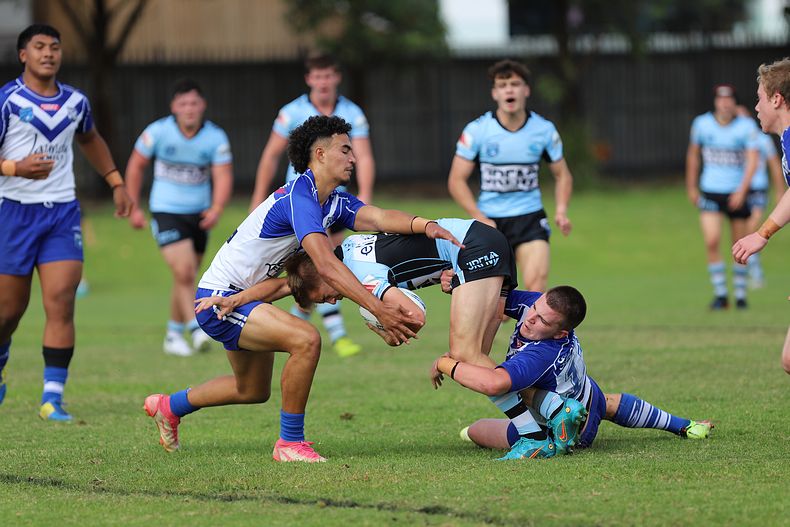 Harold Matthews Cup Rnd 9 BULLDOGS v SHARKS