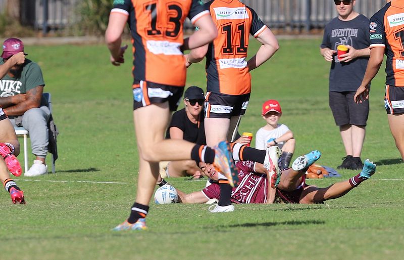 Harold Matthews Cup Rnd 9 TIGERS v SEAEAGLES