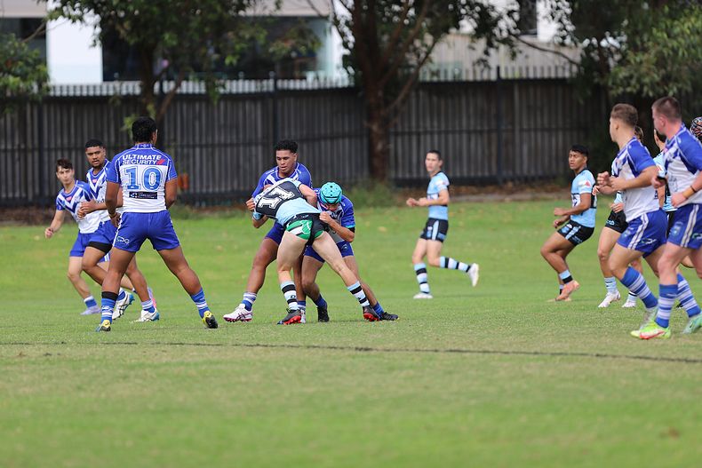 Harold Matthews Cup Rnd 9 BULLDOGS v SHARKS