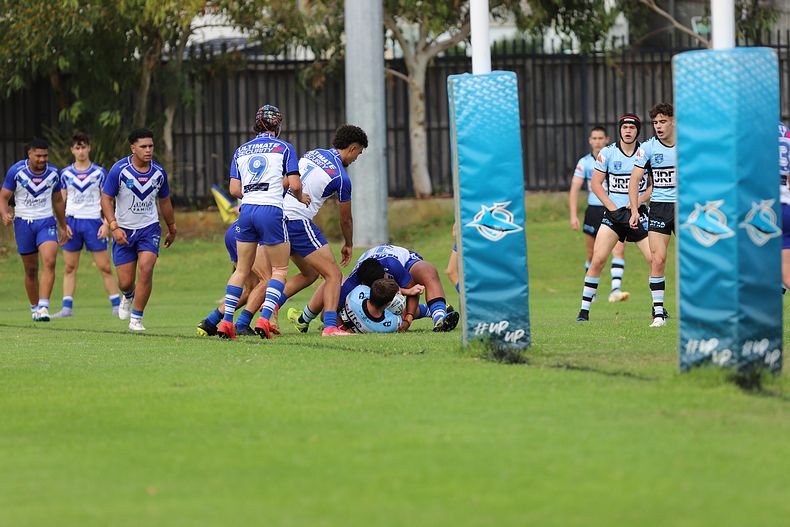 Harold Matthews Cup Rnd 9 BULLDOGS v SHARKS