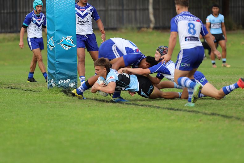 Harold Matthews Cup Rnd 9 BULLDOGS v SHARKS