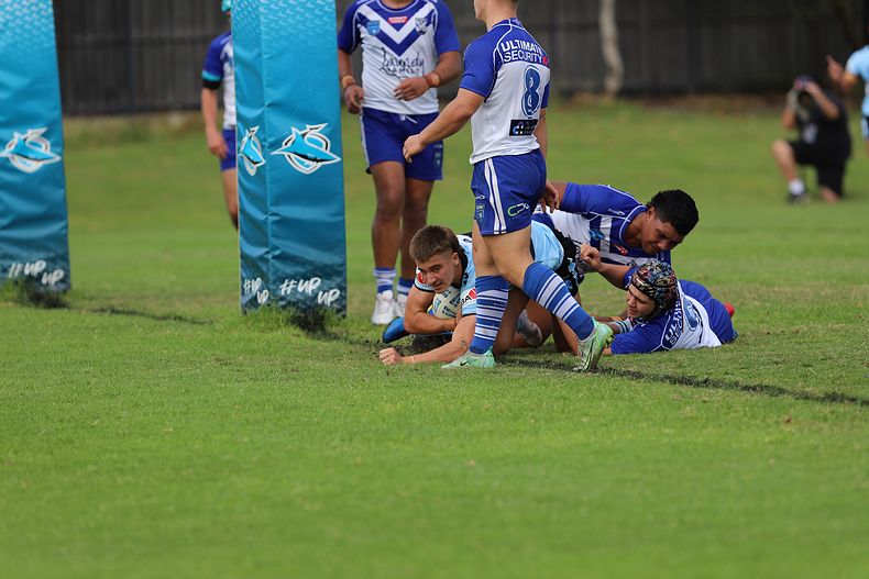 Harold Matthews Cup Rnd 9 BULLDOGS v SHARKS